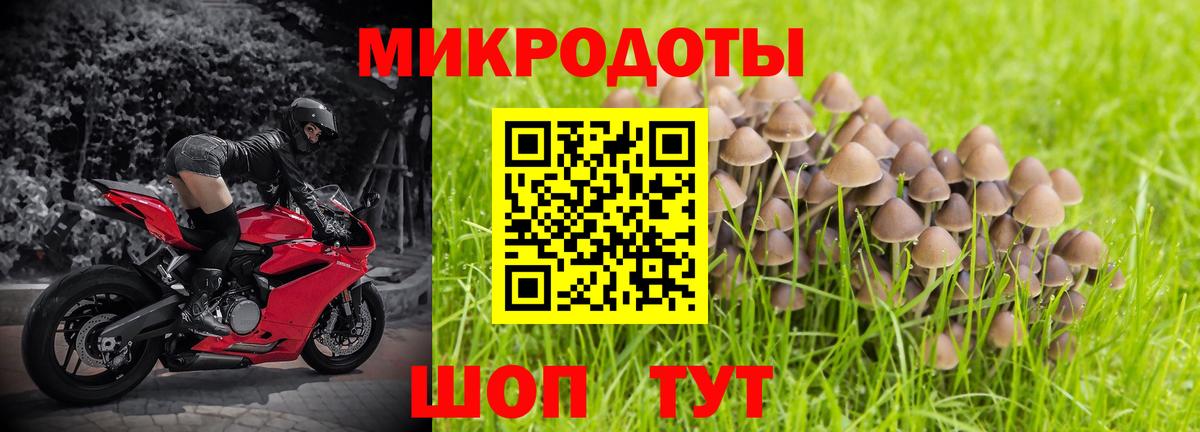 Псилоцибиновые грибы Cubensis Абакан